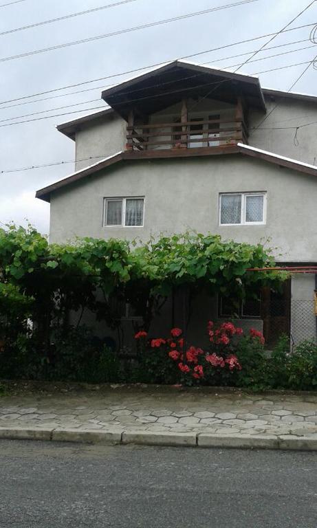 Ivaylova House 호텔 사파레바바냐 외부 사진