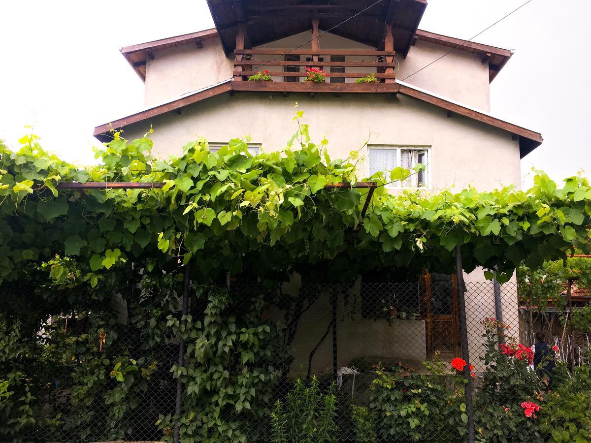 Ivaylova House 호텔 사파레바바냐 외부 사진